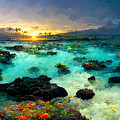 The Tropics
